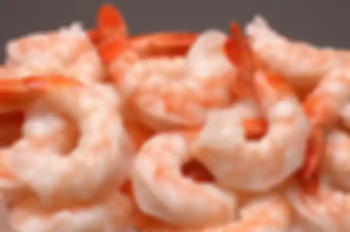 Udang