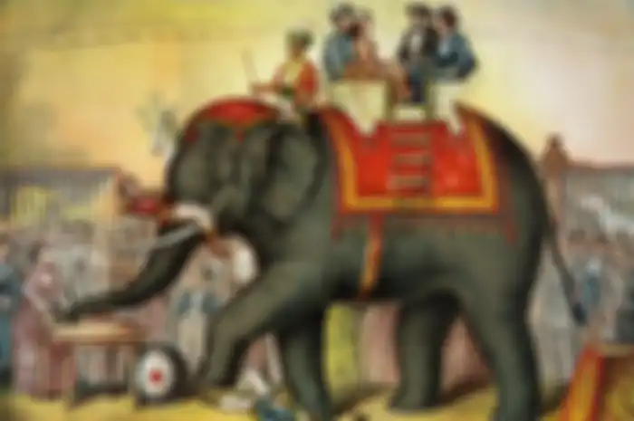 Ilustrasi gajah sirkus