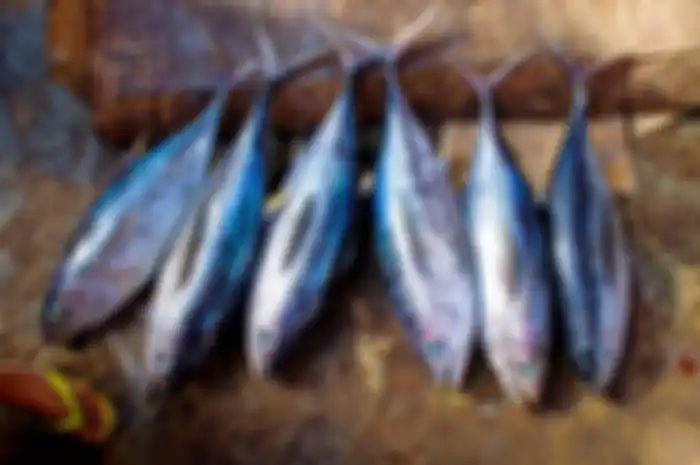 Ikan denbgan kadar merkuri tinggi
