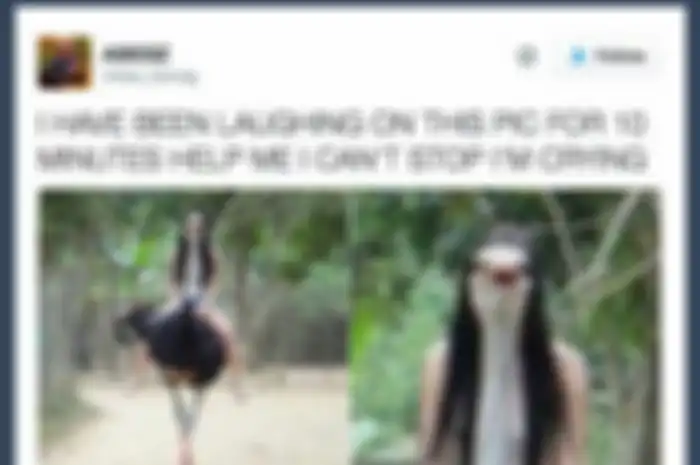 Foto lucu