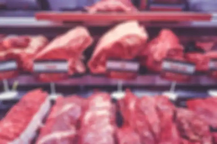 Ilustrasi daging