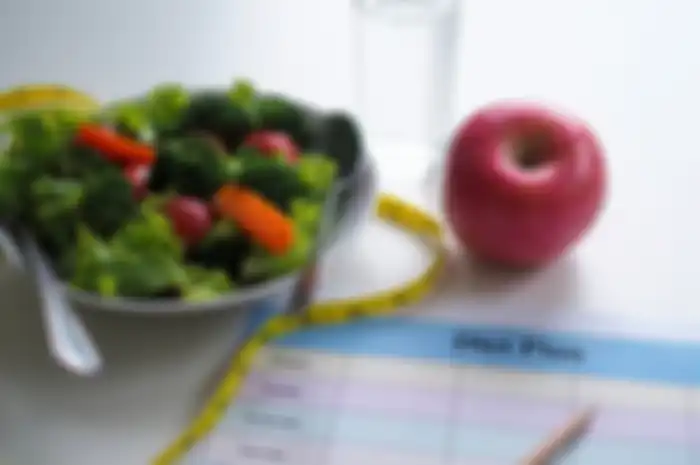 rencana diet