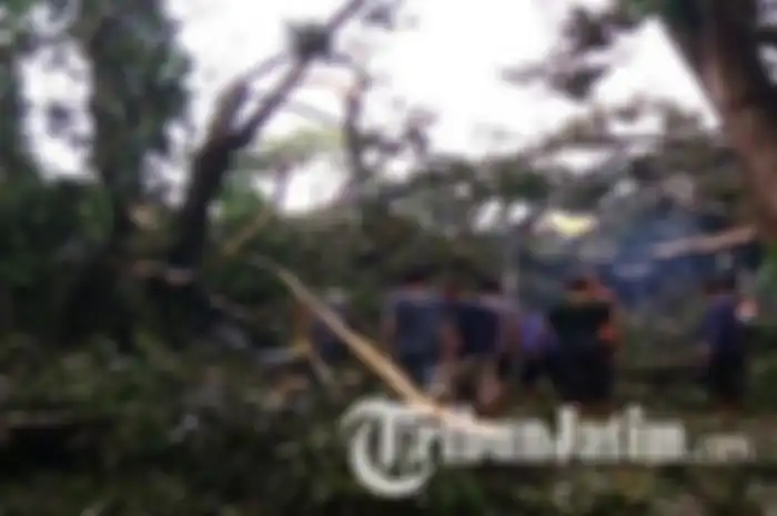 Petugas bersama relawan membersihkan pohon tumbang di Sumber Jimput, Kelurahan Rejomulyo, Kota Kediri, Senin (9/12/2019)
