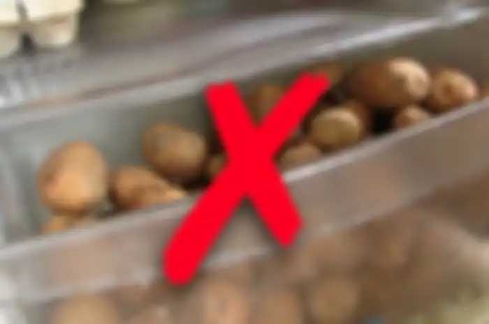 Jangan Lagi Simpan Kentang di Dalam Kulkas, Bisa Sebabkan Penyakit Mematikan ini