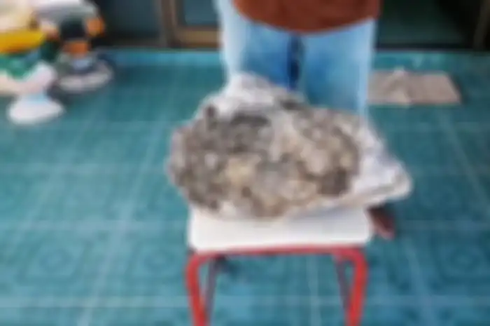 Awalnya dia curiga mungkin benda tersebut adalah ambergris.