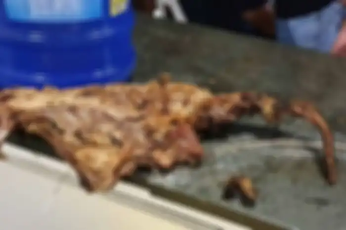 Daging anjing panggang dengan ekor masih menempel