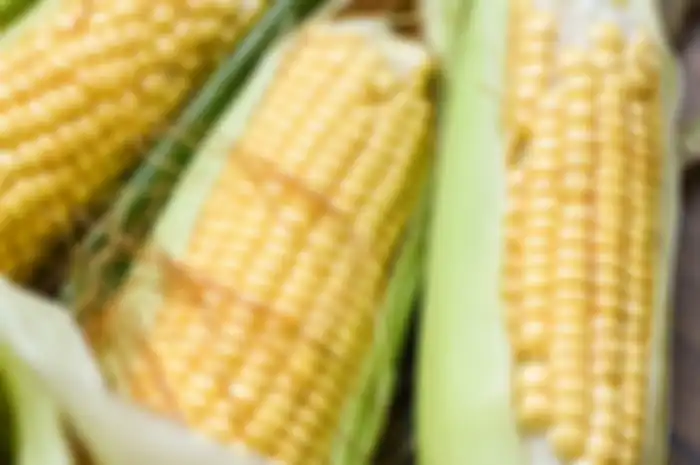 Rambut jagung punya manfaat yang tak terduga