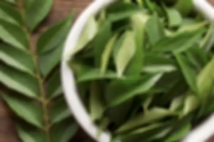 Daun Kari untuk uban