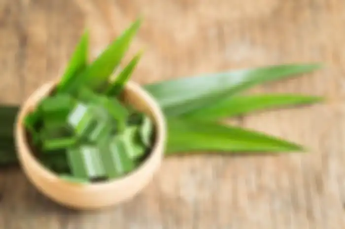 Daun pandan 