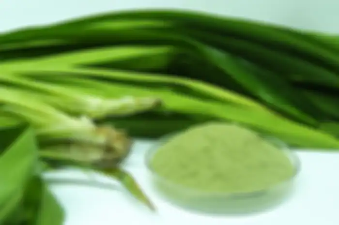 Daun pandan jadi obat rumahan atasi insomnia