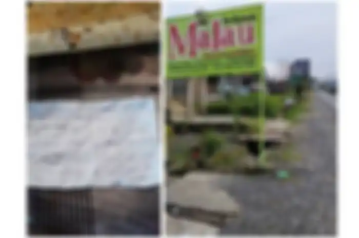 Kolase foto warung makan Malau dan struk tagihan pembayaran dua ekor ayam seharga Rp 800.000. 