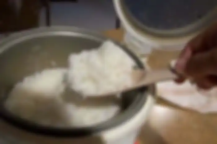 nasi