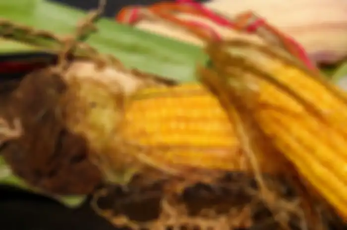 Rambut jagung
