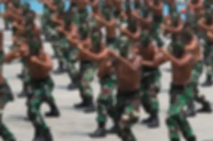 Militer Indonesia