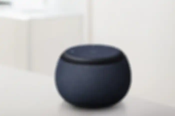 Galaxy Home Mini
