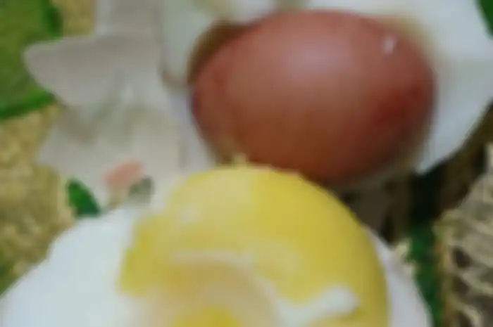 Telur ayam yang berisi telur yang ditemukan siswa SD di Jalan Cilallang Jaya, Kecamatan Mariso, Makassar, Senin (3/2/2020).