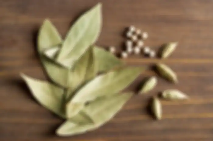 Daun salam