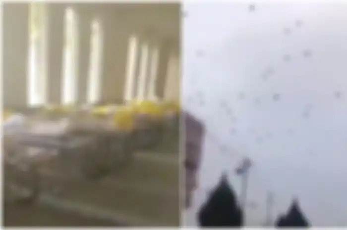 Ribuan burung gagak terbang di atas kota Wuhan.