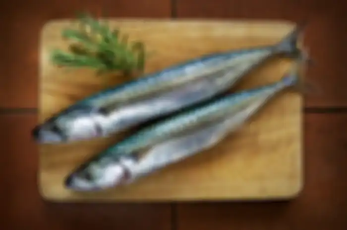 Ikan Makarel