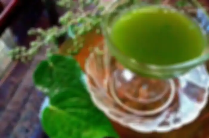 Air rebusan daun sirih untuk obat rumahan