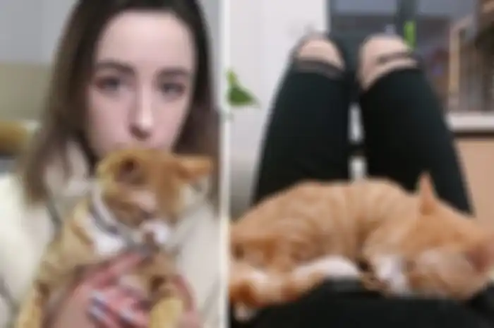 Kristina dan kucingnya Kitya