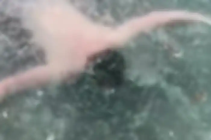Jason Clark membuat video TikTok dalam danau beku di Utah, Amerika Serikat.