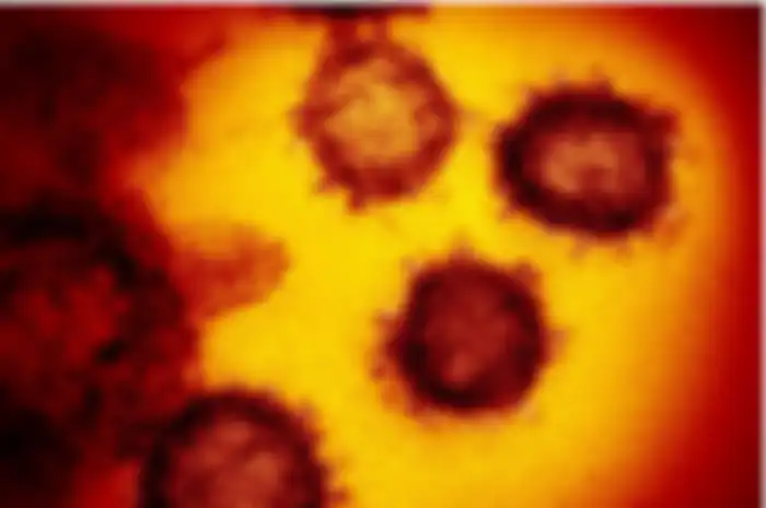 Ilustrasi virus corona