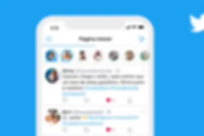 Fitur Fleets di Twitter