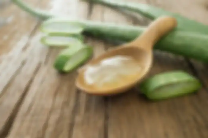 Lidah Buaya sebagai Obat Alami Penurun Panas Tinggi