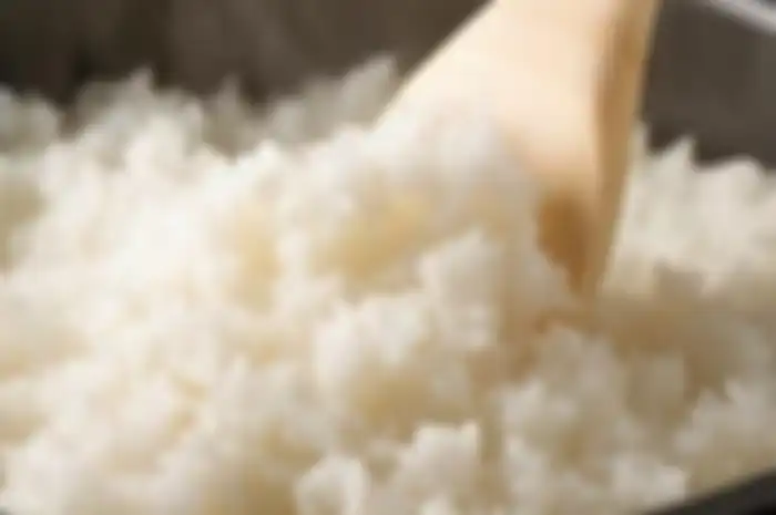 nasi pulen