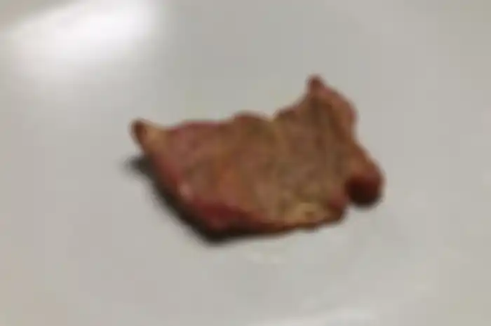 Steak Vegan Pertama di Dunia yang Dibuat dengan 3D-Printer