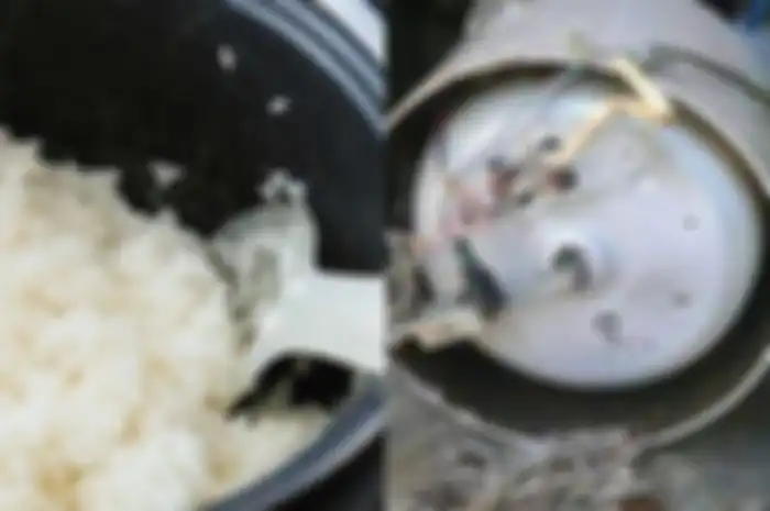 Kebingungan Nasi Di Rumah Cepat Basi, Laki-Laki Ini Kaget Bukan Kepalang Temukan Hal Ini Ketika Bongkar Rice Cookernya!