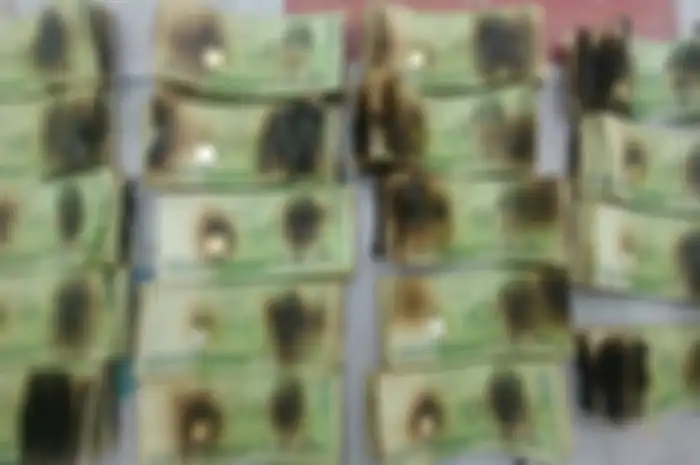 Coba Disinfeksi Pakai Microwave, Duit Cowok Ini Malah Hangus Terbakar