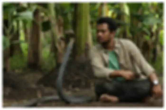 Panji Petualang