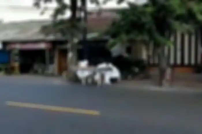 Petugas dari rumah sakit memakai APD saat evakuasi seorang WNA yang diduga sakit dan tak sadarkan diri dipinggir jalan.