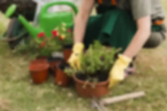 Ilustrasi berkebun