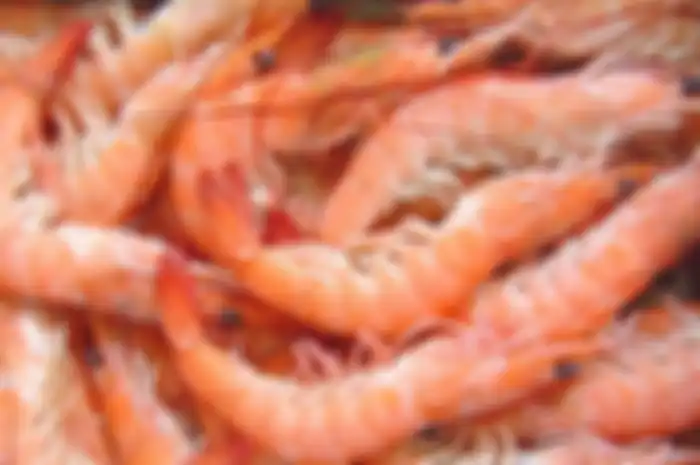 Manfaat Kepala Udang.