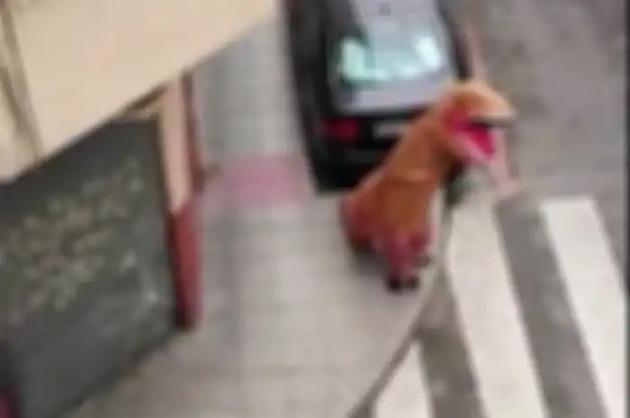 Warga Spanyol yang keluar rumah dengan kostum T-Rex saat lockdown