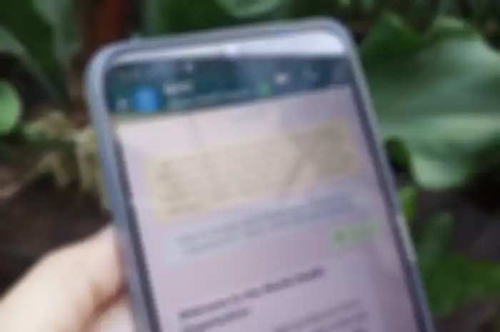 Chabot dengan Organisasi Kesehatan Dunia (WHO) di aplikasi WhatsApp.