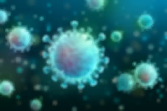 (Ilustrasi) Virus corona