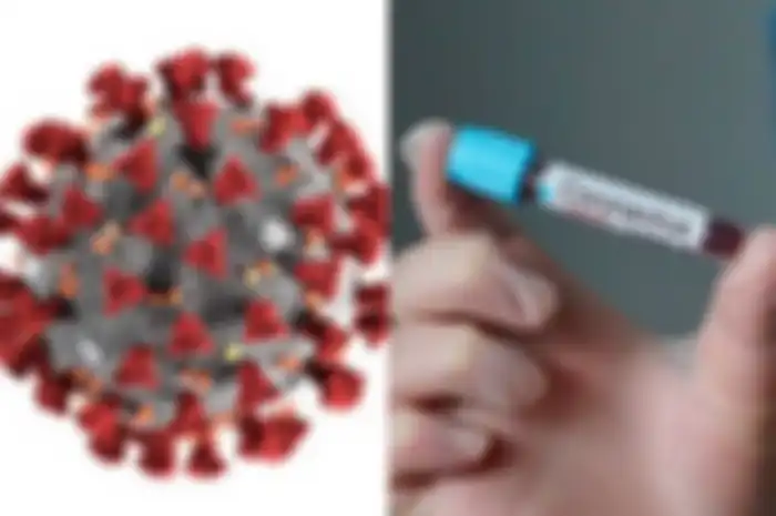 Corona virus di dunia