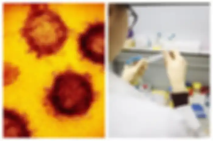 ilustrasi virus corona 