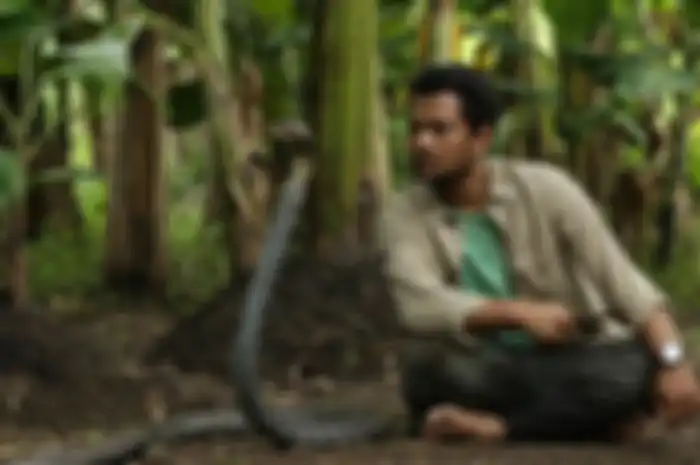 Panji Petualang
