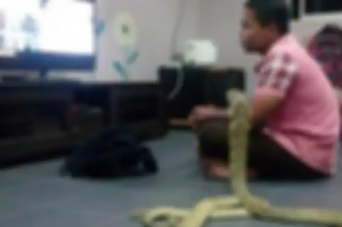 Percaya Itu Sosok Pacarnya yang Meninggal Hidup Kembali, Pria Ini Nikahi Ular Cobra Sepanjang 10 Kaki