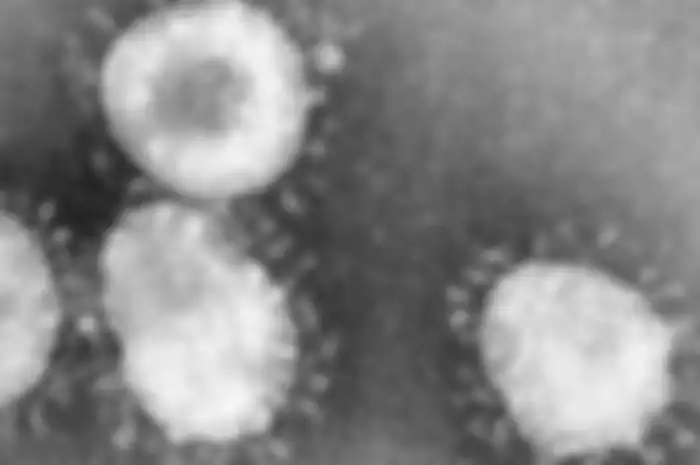 Virus corona saat dilihat menggunakan mikroskop