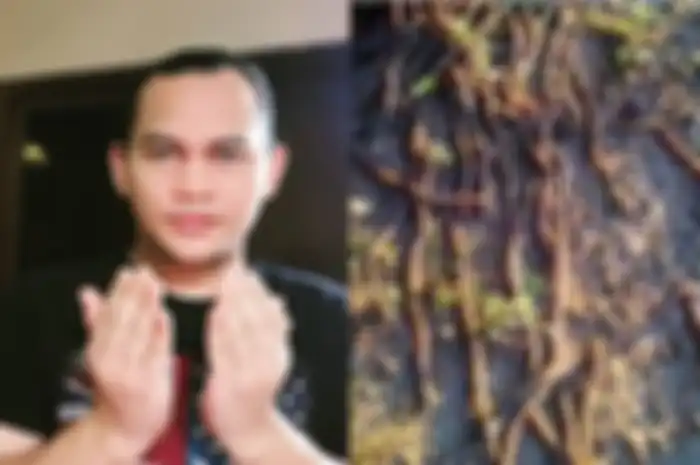 Merinding, Ribuan Cacing Tanah Tiba-tiba Muncul Meneror Warga Solo, Mbah Mijan Peringatkan Soal Bencana yang Mengancam