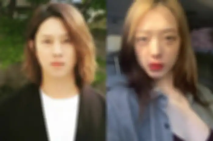 Heechul dan Sulli