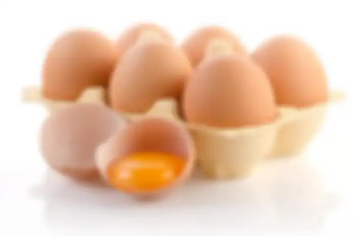 ilustrasi telur