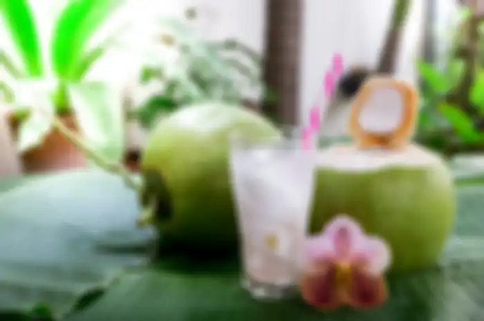 Kelapa Muda. 