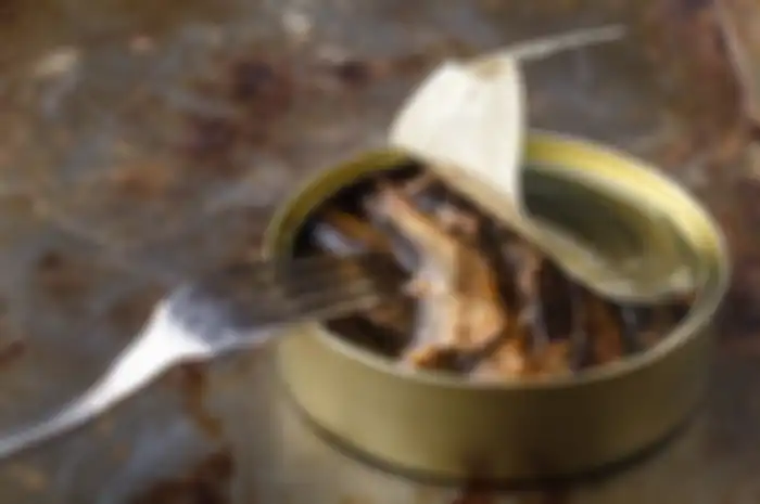 Ikan sarden kaleng